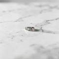 Twisted cubic ring