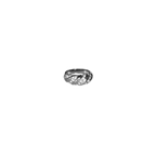 Twisted cubic ring